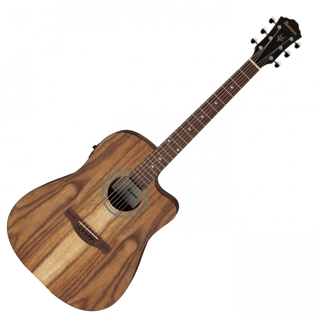 Ibanez V40WSCE Open Pore Brown
