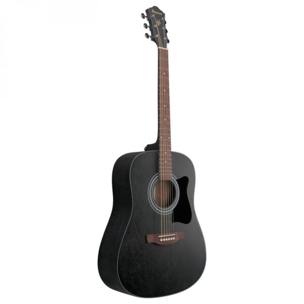 Ibanez V54NJP Jam Pack Weathered Black