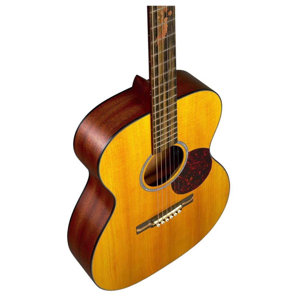 Martin 000-10E Shawn Mendes Signature