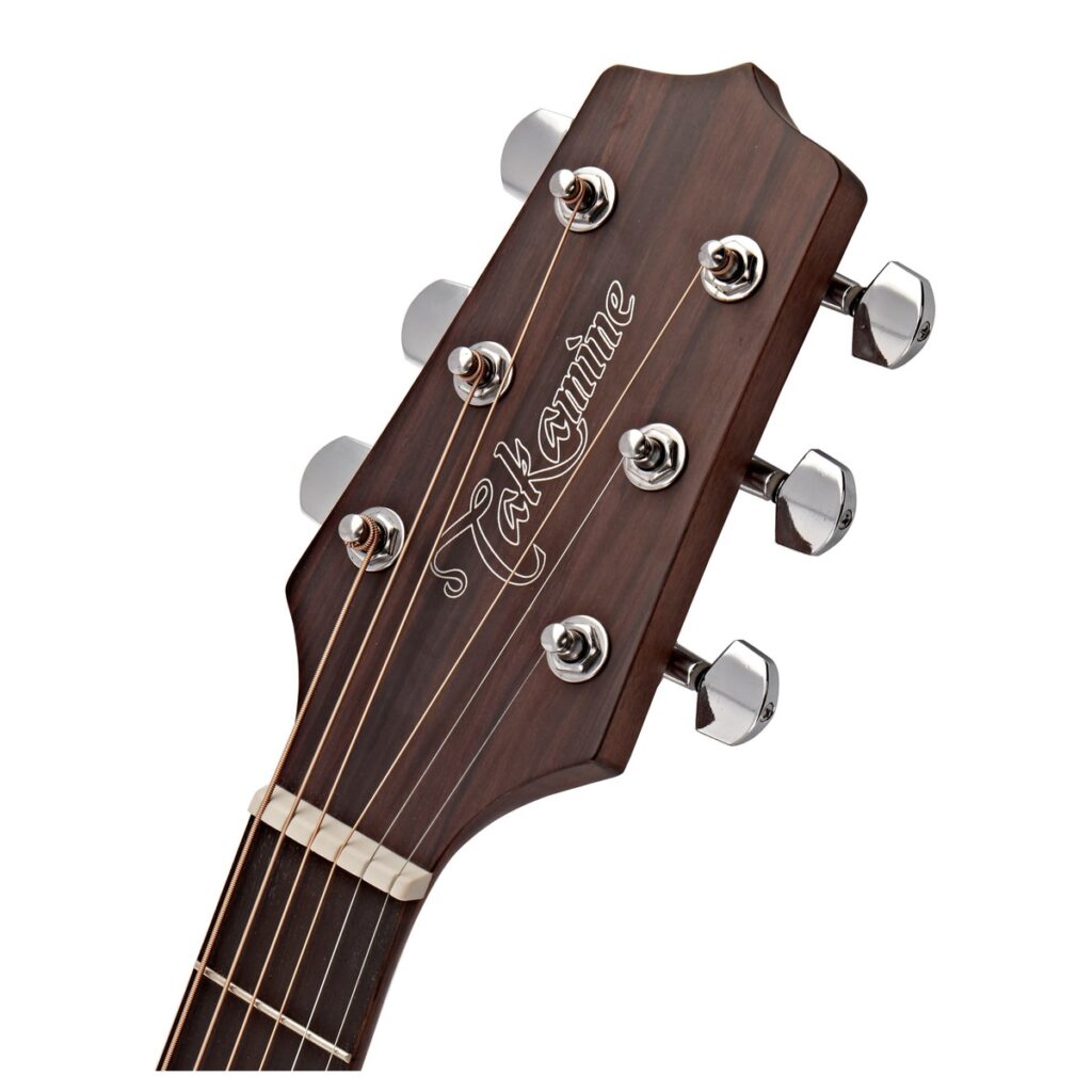 Takamine GD20-NS Dreadnought Acoustic Natural