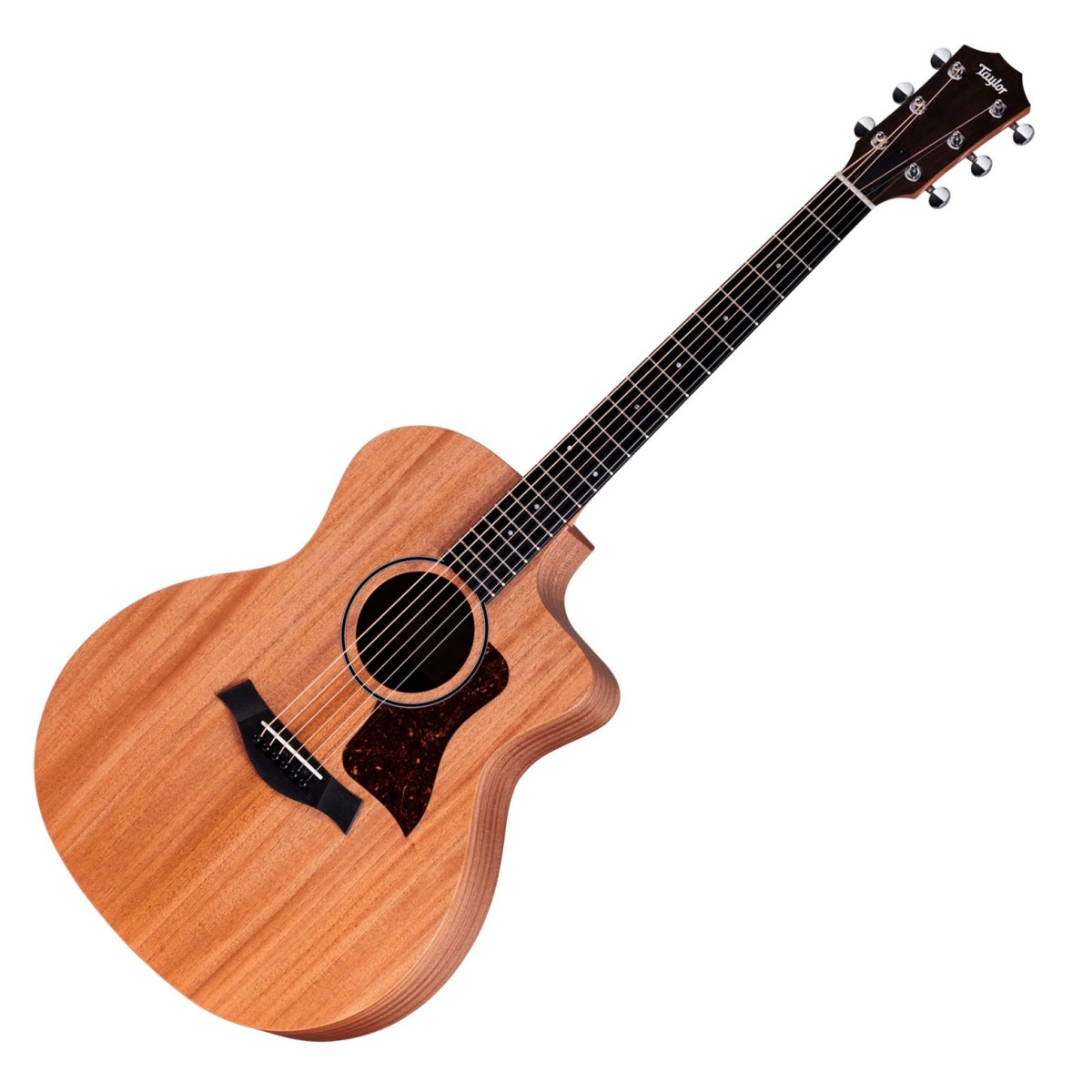 Taylor 24ce Natural