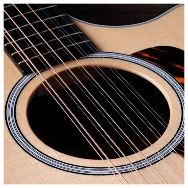 Taylor 454ce Next Generation