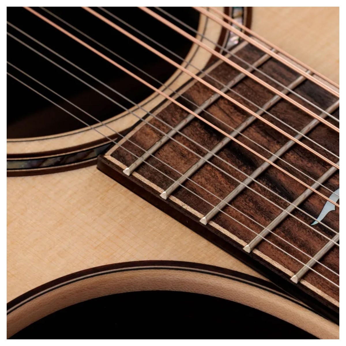 Taylor 854ce Next Generation