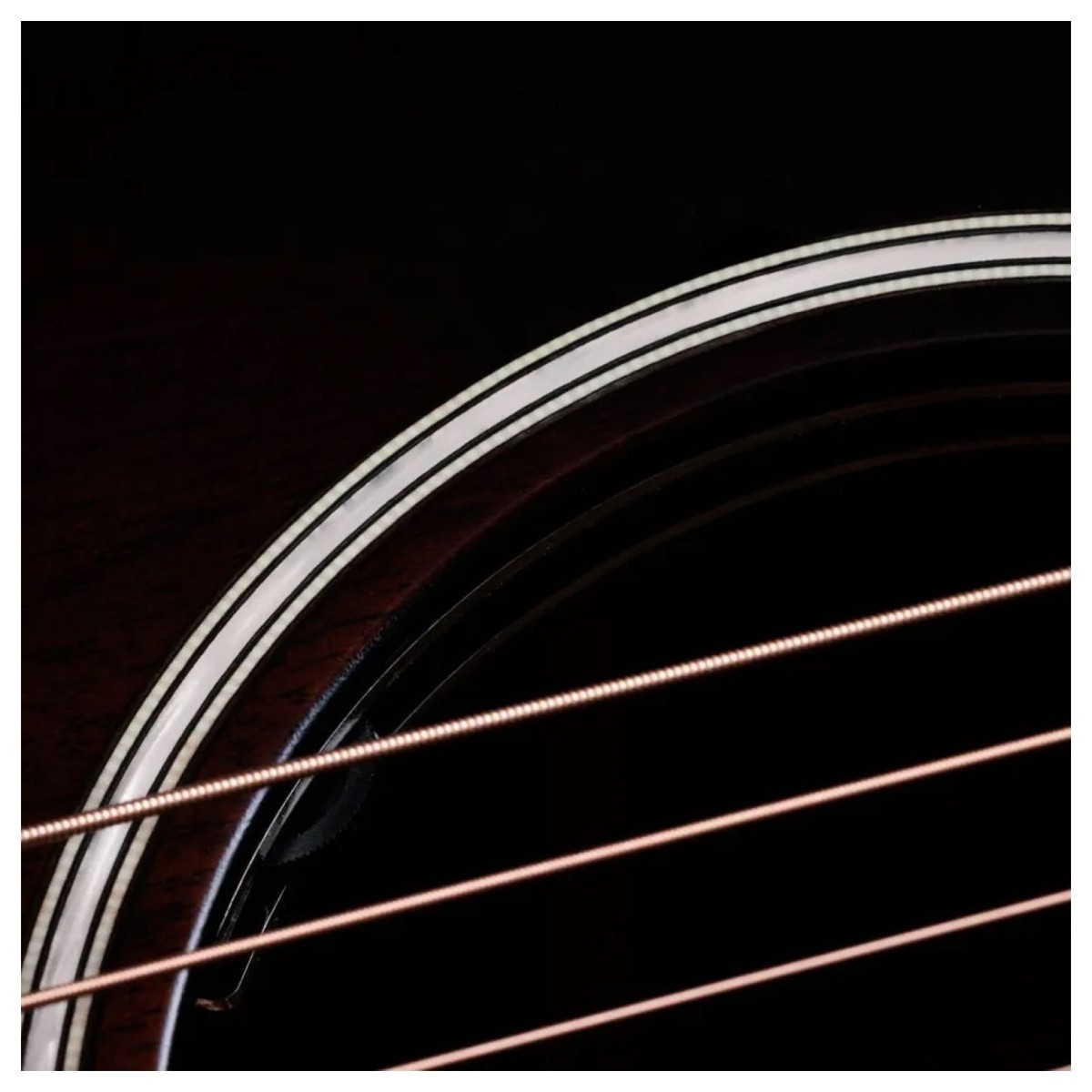 Taylor Builders Edition 324ce Next Generation