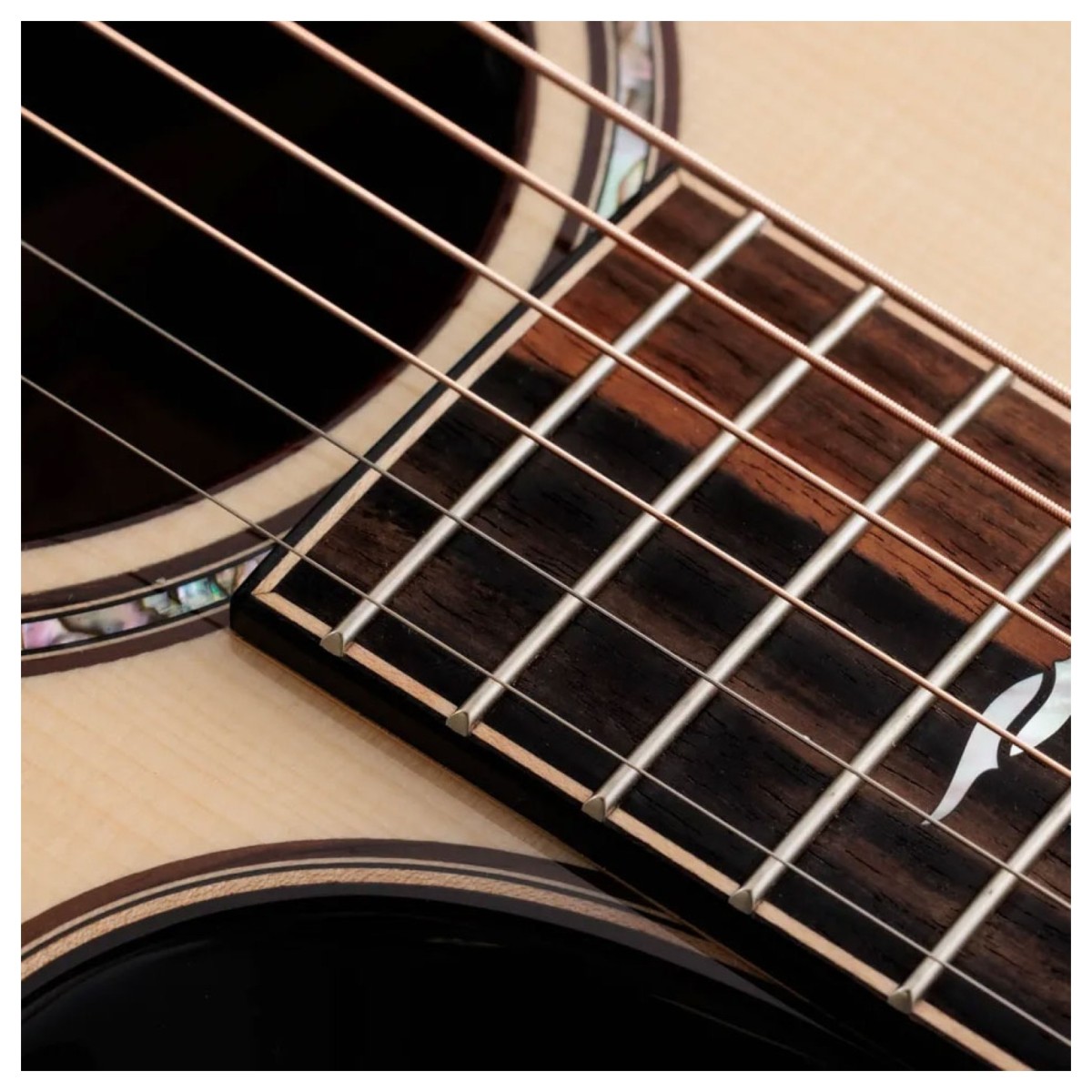 Taylor Builders Edition 814ce Next Generation