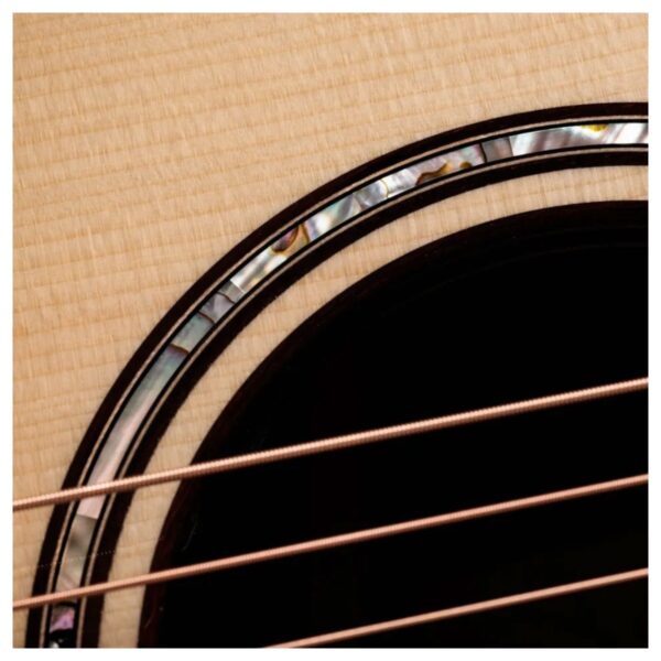 Taylor Builders Edition 814ce Next Generation