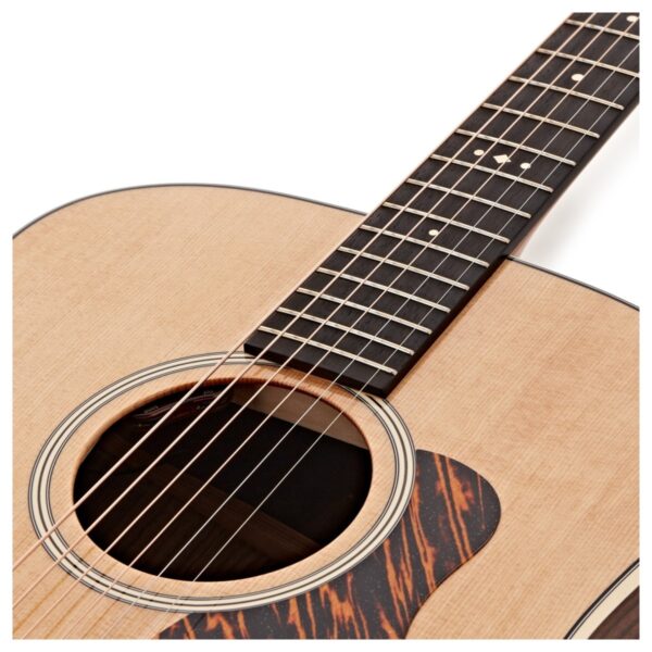 Taylor Gold Label 710e
