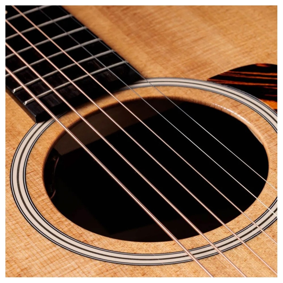 Taylor Gold Label 712e Grand Concert Natural