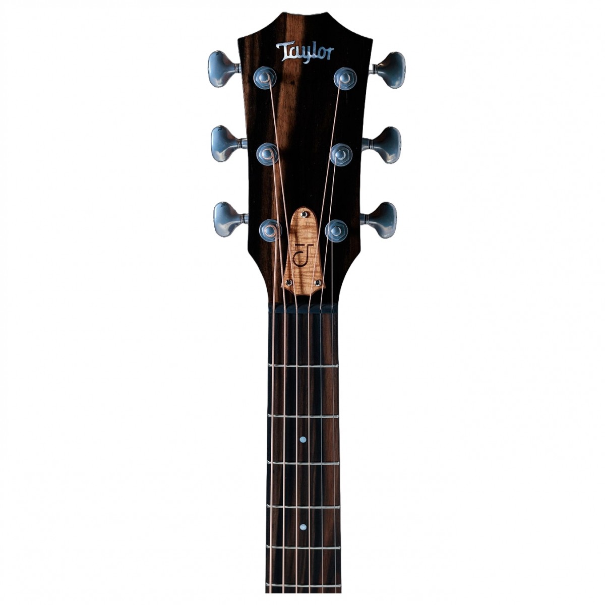 Taylor Jacob Collier Signature Model JCSM-6
