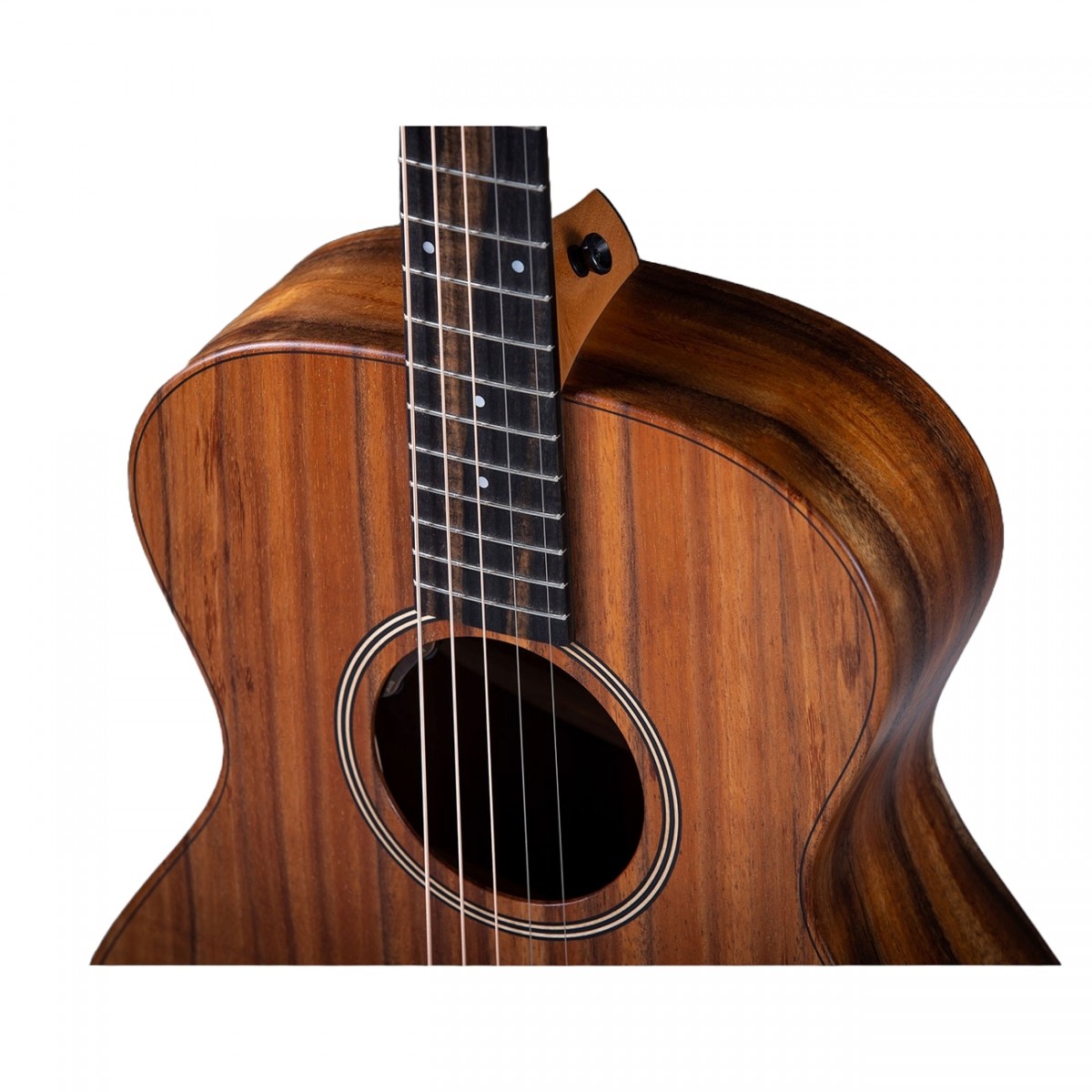 Taylor Jacob Collier Signature Model JCSM-5