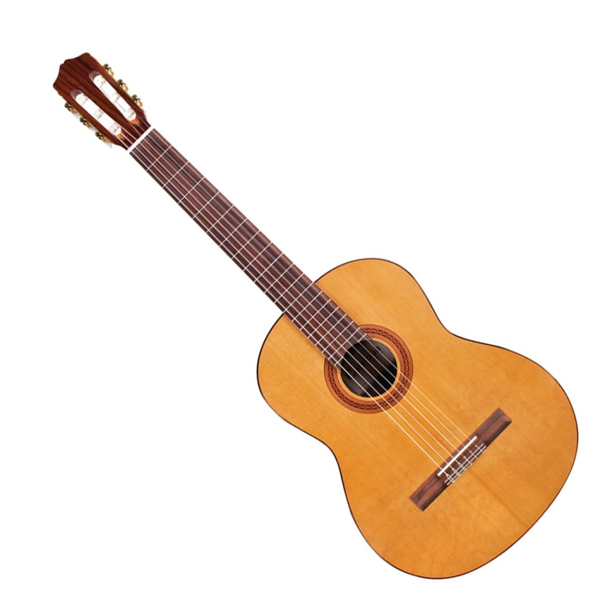 Cordoba C5 Left Handed