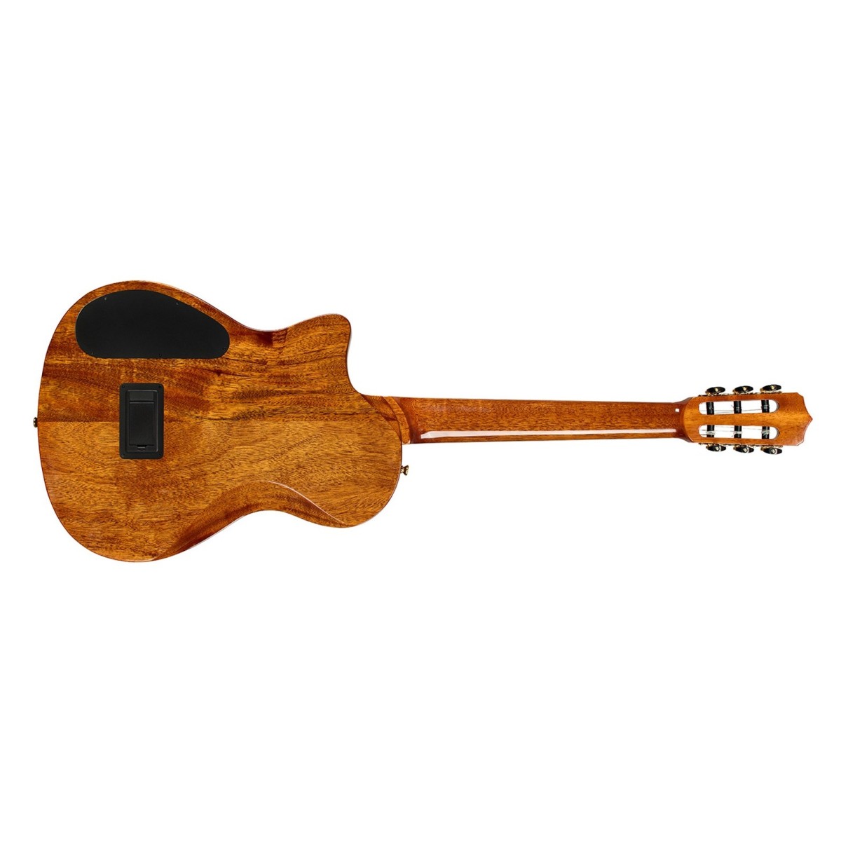 Cordoba Stage Artist Agave Burst