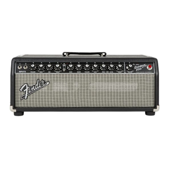 Fender Bassman 800 Head