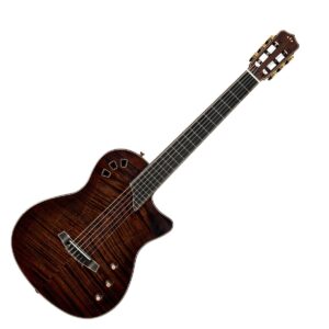 Cordoba Stage Artist Habano Burst