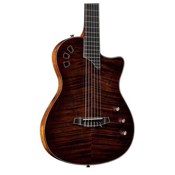 Cordoba Stage Artist Habano Burst