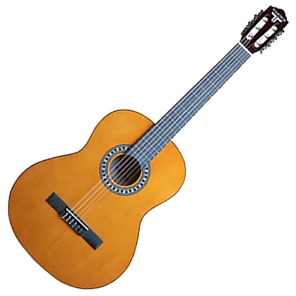 Tourtech Classical Guitar Beginner Pack (4/4)