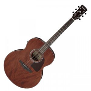 Ibanez AJ54E Natural