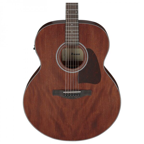 Ibanez AJ54E Natural