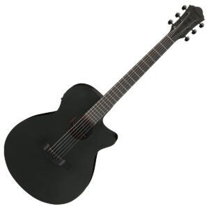 Ibanez AEG621 Black Out