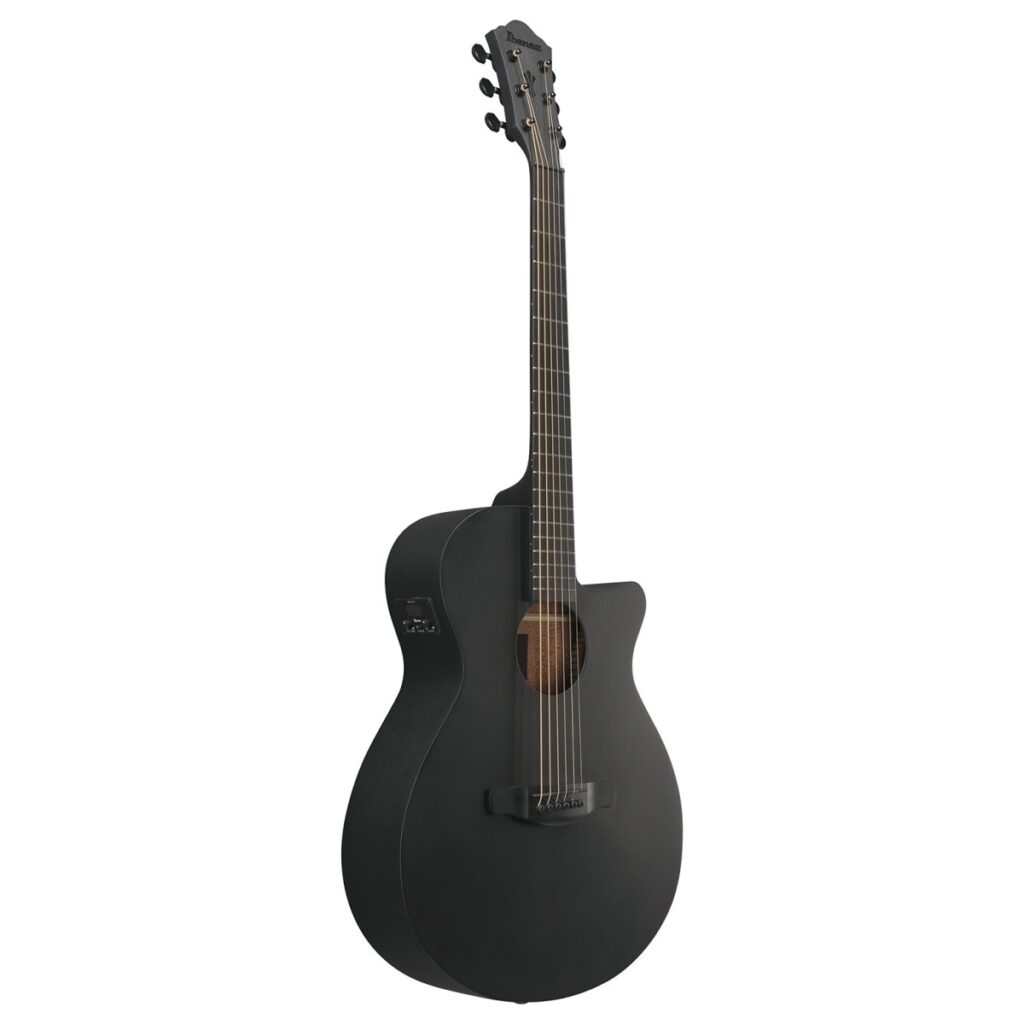 Ibanez AEG621 Black Out