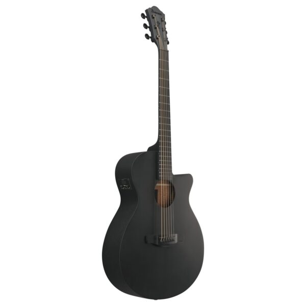 Ibanez AEG621 Black Out