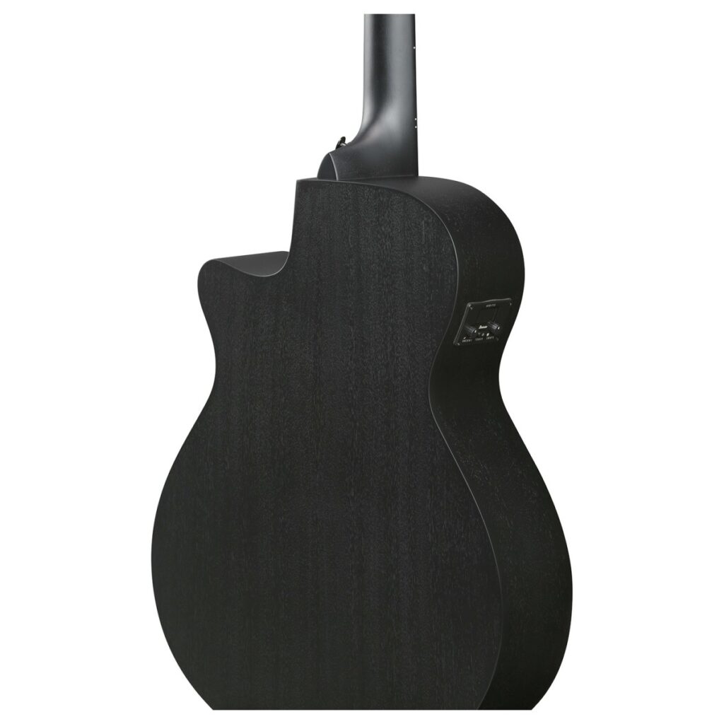 Ibanez AEG621 Black Out