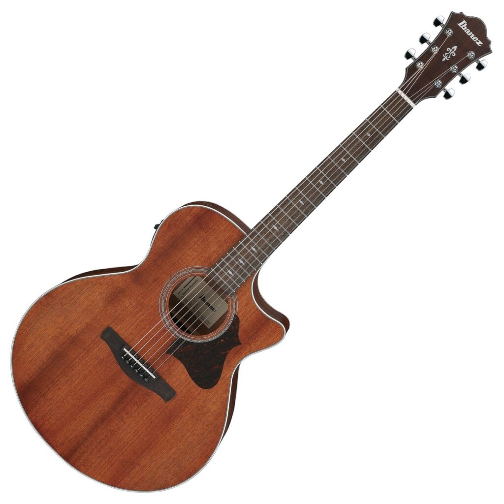 Ibanez AE140-OPN Open Pore Natural
