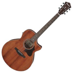Ibanez AE140-OPN Open Pore Natural