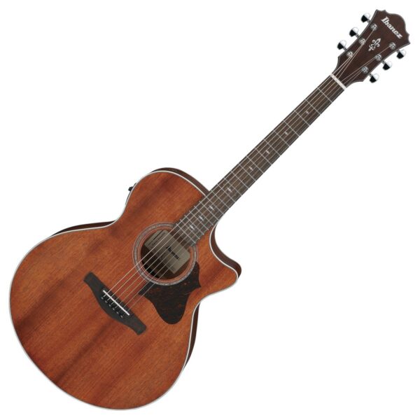 Ibanez AE140-OPN Open Pore Natural