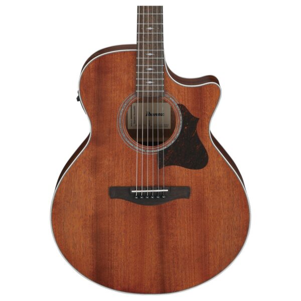 Ibanez AE140-OPN Open Pore Natural