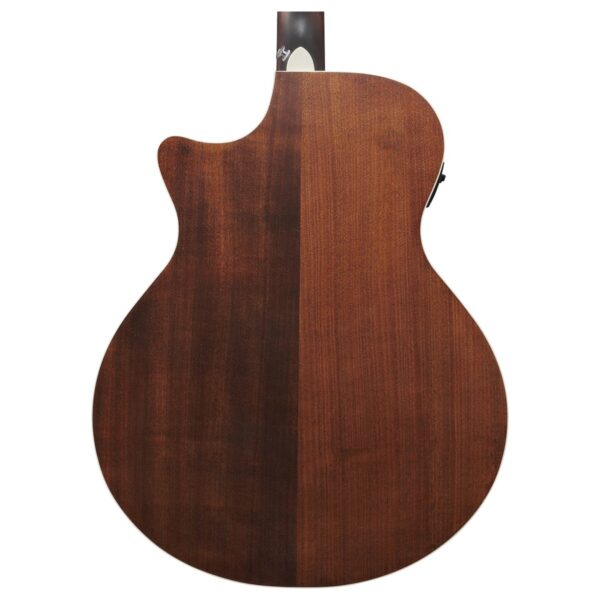 Ibanez AE140-OPN Open Pore Natural