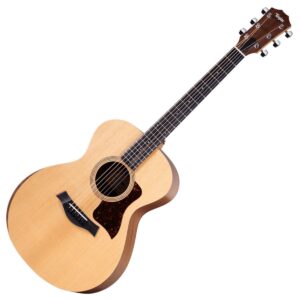 Taylor Academy 12e Natural