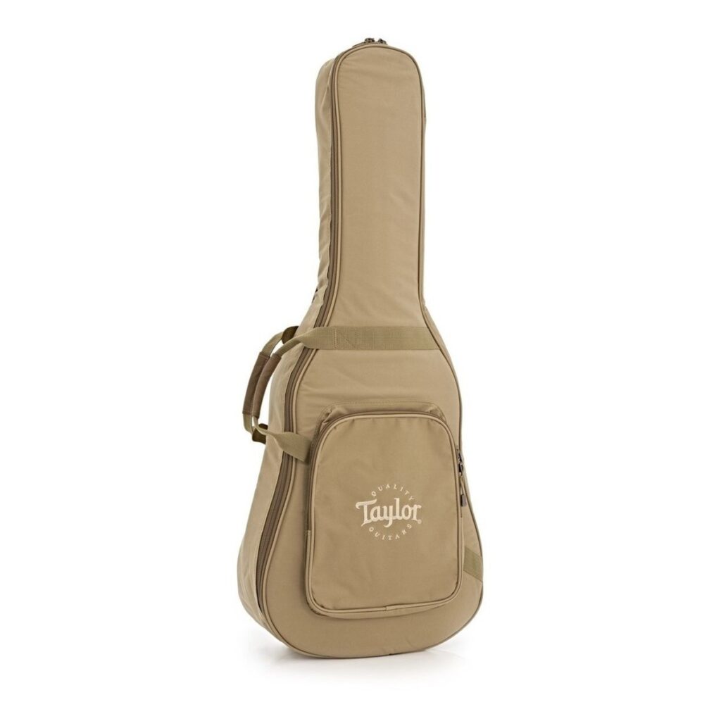 Taylor 110ce Natural