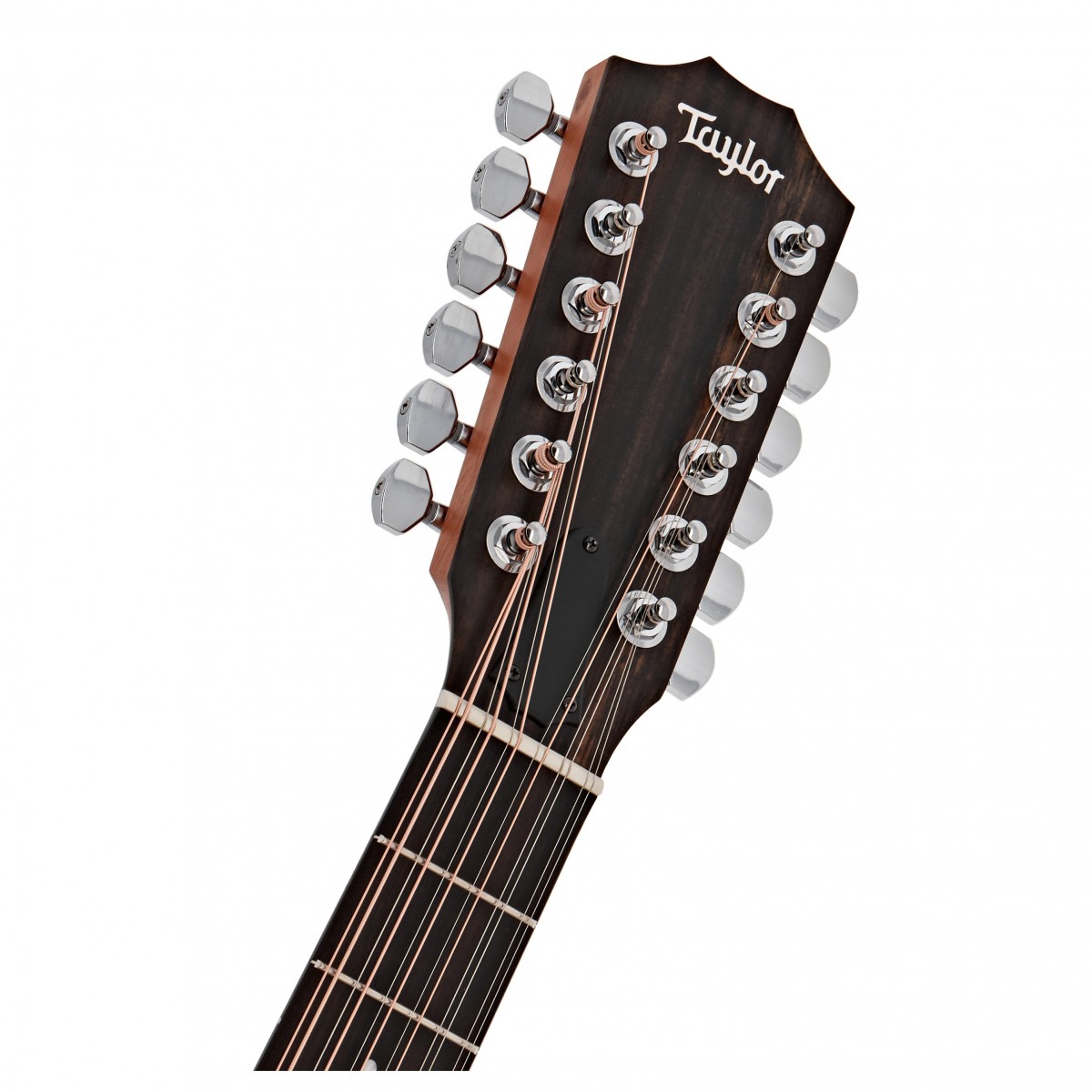 Taylor 254ce Plus 12-String Natural