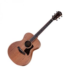 Taylor Academy 22e Natural