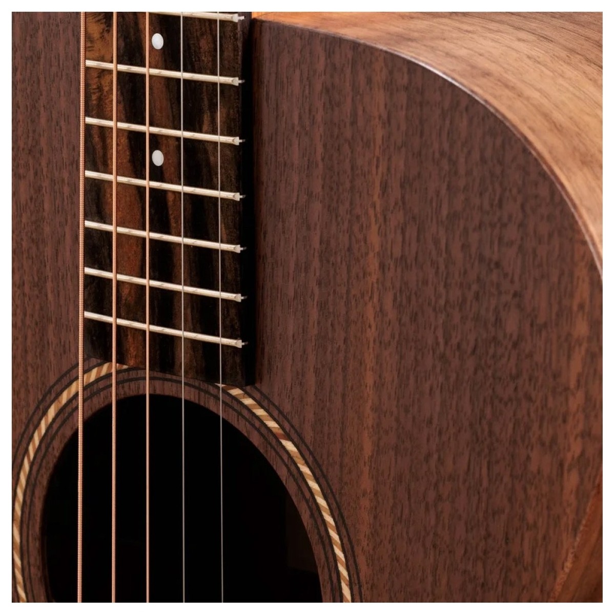 Taylor Jacob Collier Academy 22e 5-String Walnut