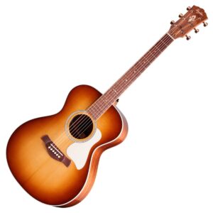 Taylor Ben Harper Gold Label 512e Grand Concert