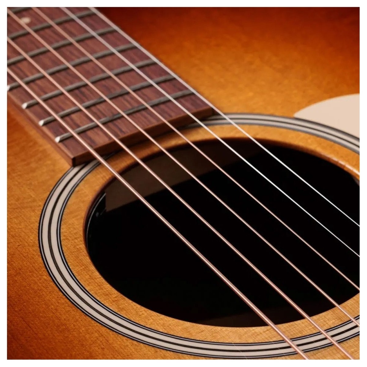 Taylor Ben Harper Gold Label 512e Grand Concert