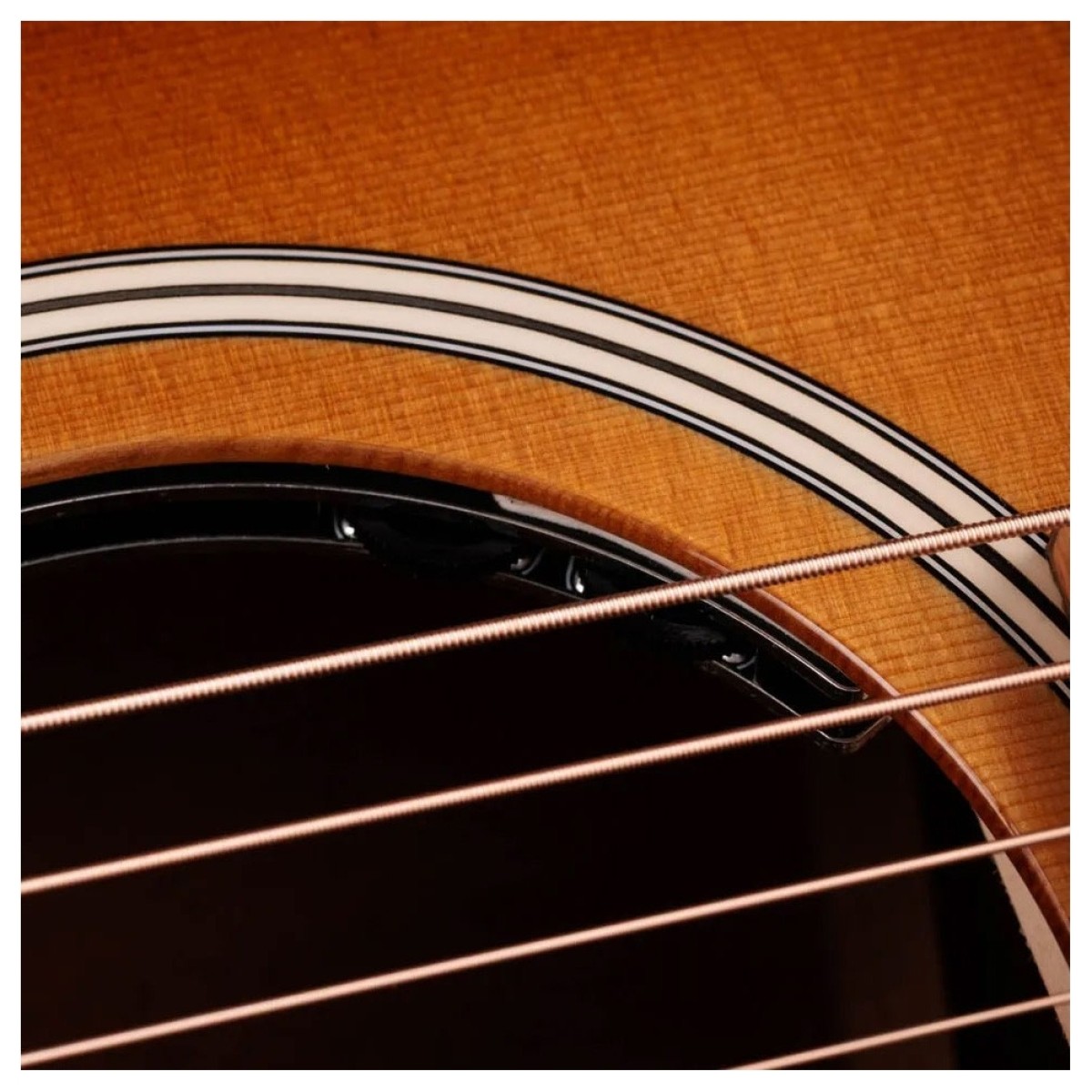 Taylor Ben Harper Gold Label 512e Grand Concert