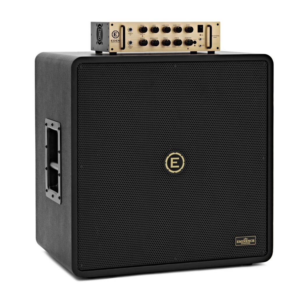 Eden NovaTone 300 2x10" Bass Amplifier