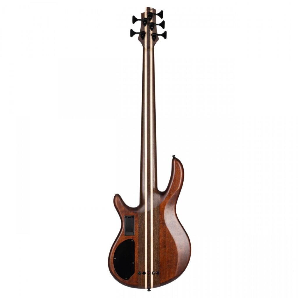 Cort A5 Ultra Ash Etched Natural Black