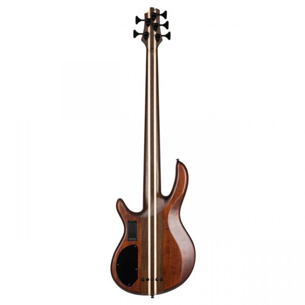 Cort A5 Ultra Ash Etched Natural Black