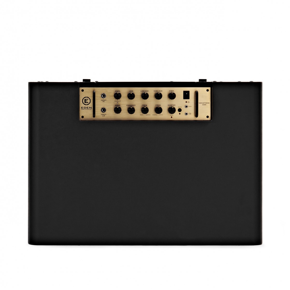 Eden NovaTone 300 2x10" Bass Amplifier
