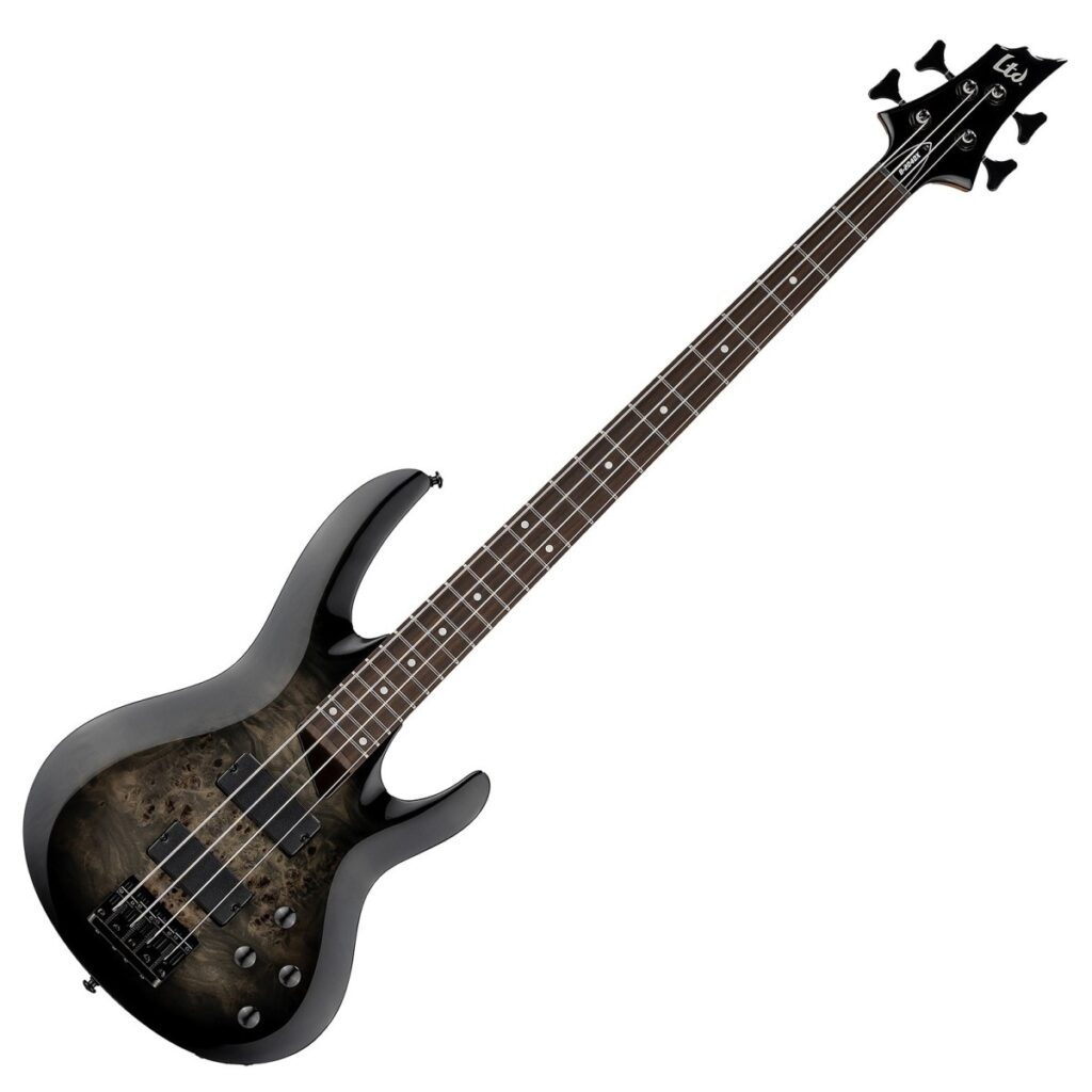 ESP LTD B-204DX Black Burst