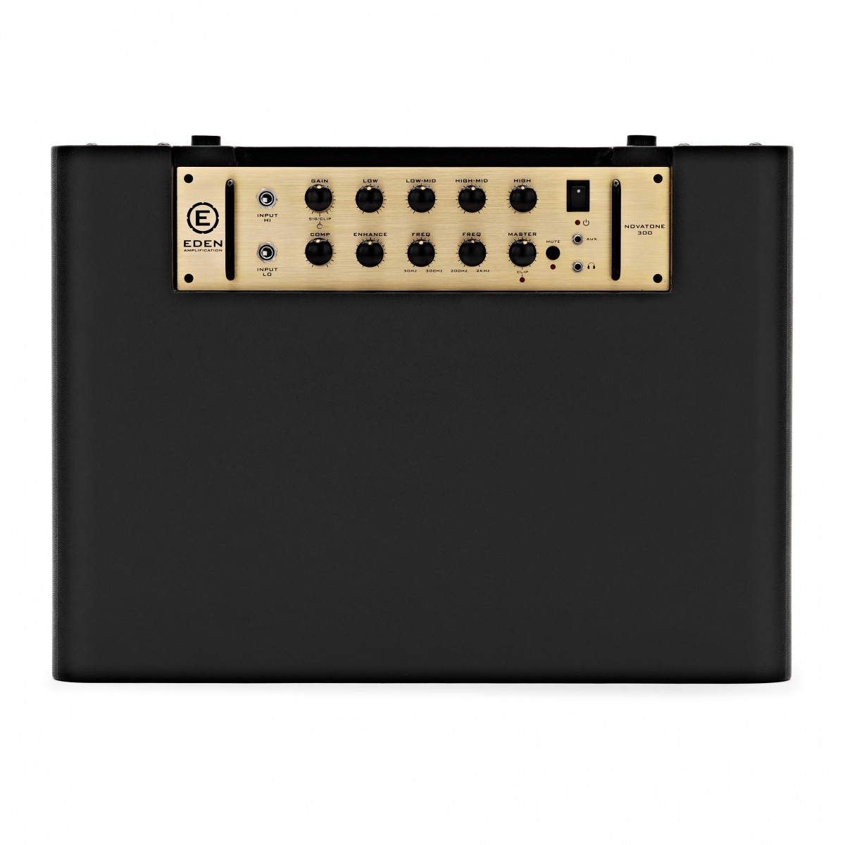 Eden NovaTone 300 1x12" Bass Amplifier