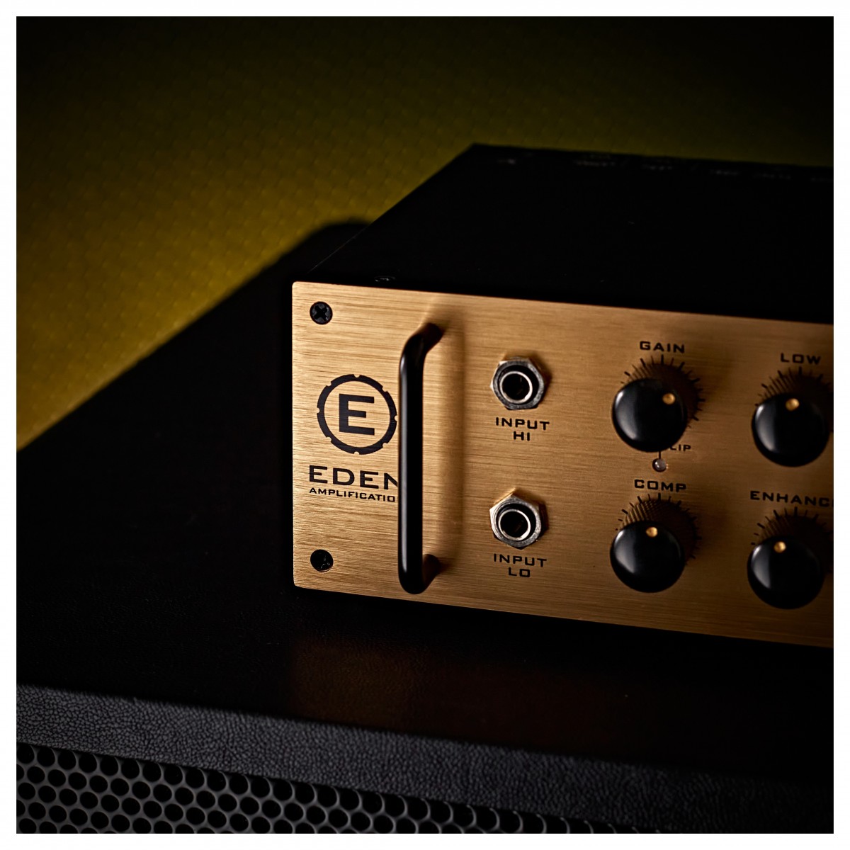 Eden NovaTone 500 2x12" Bass Amplifier