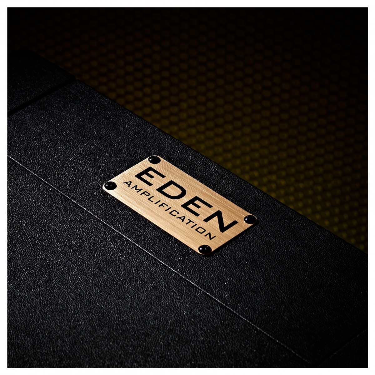 Eden NovaTone 210 Bass Cabinet