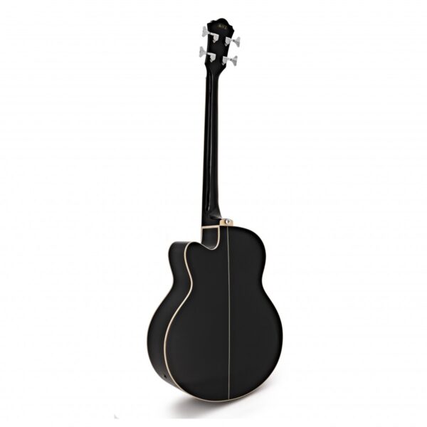 Ibanez AEB8E Black