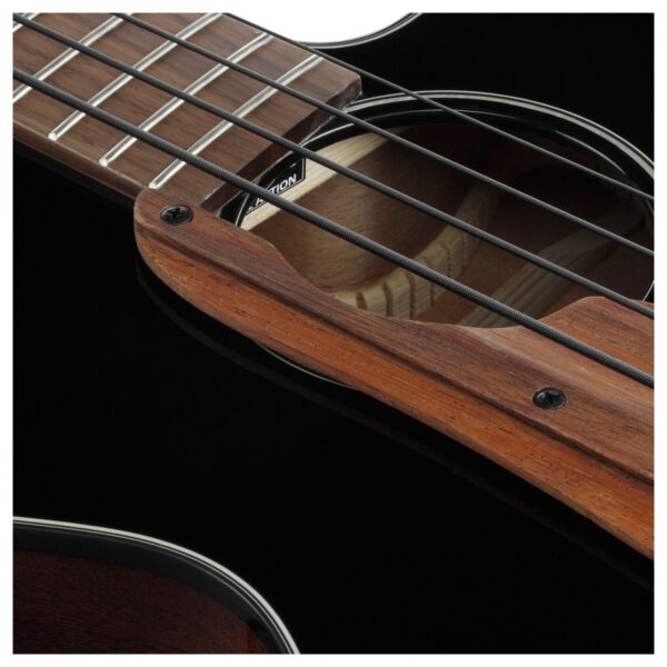 Ibanez AEGB24E Acoustic Bass Black High Gloss