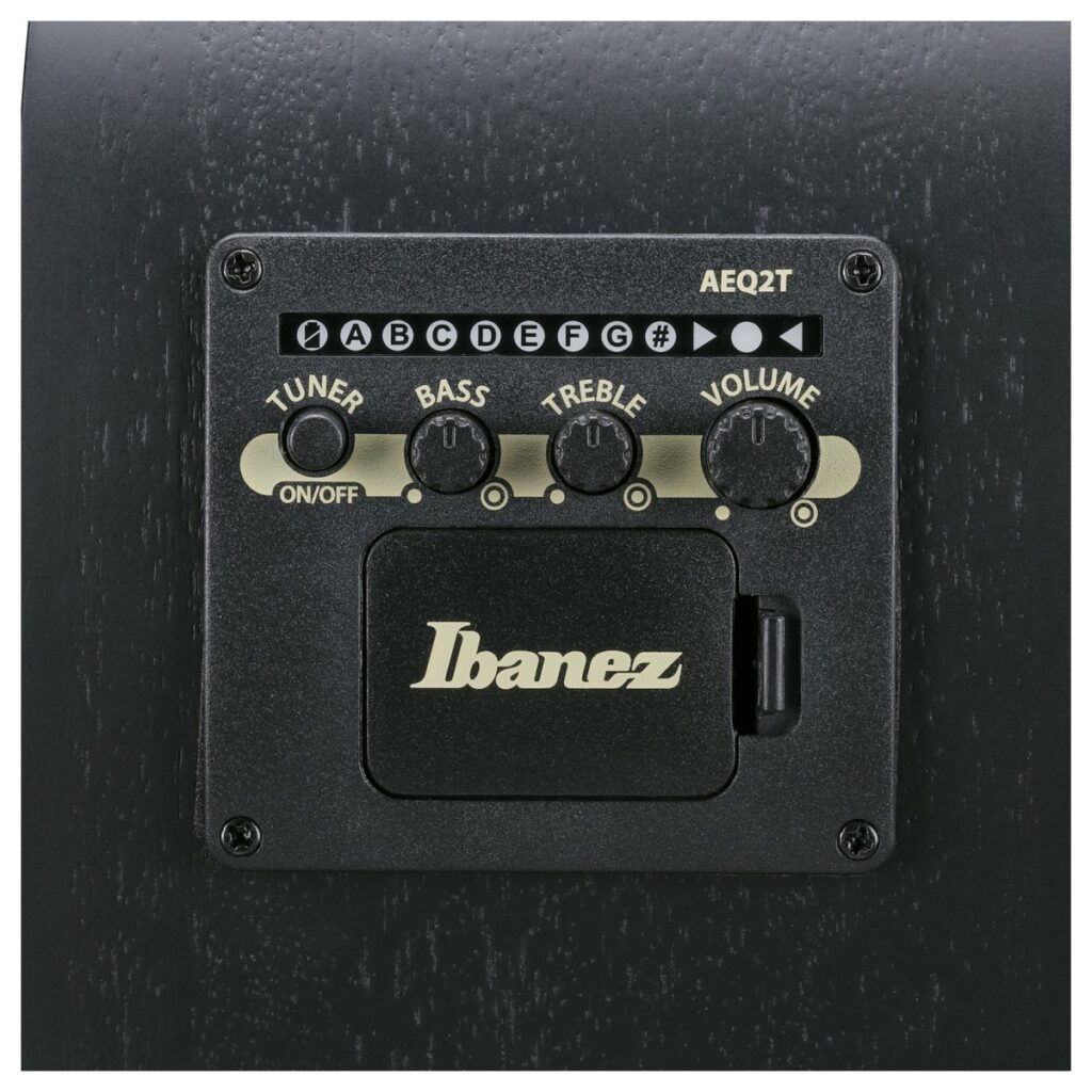 Ibanez AEGB420-BOT 4-String Acoustic Bass Black Out